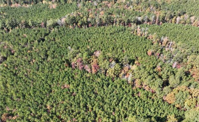 955 Manning Drive, Brunswick County, VA 23887