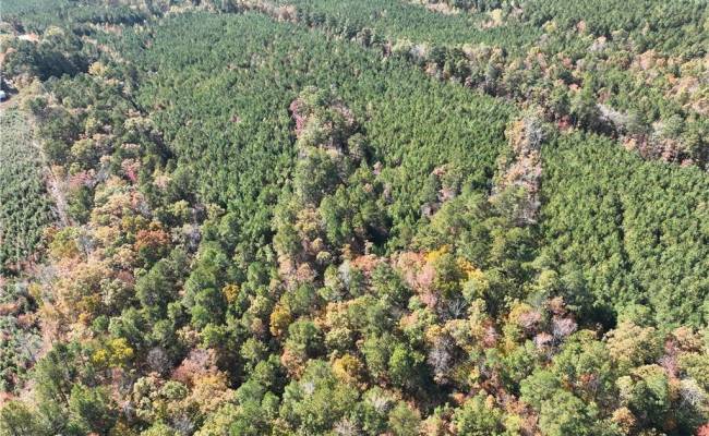 955 Manning Drive, Brunswick County, VA 23887