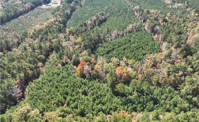 955 Manning Drive, Brunswick County, VA 23887