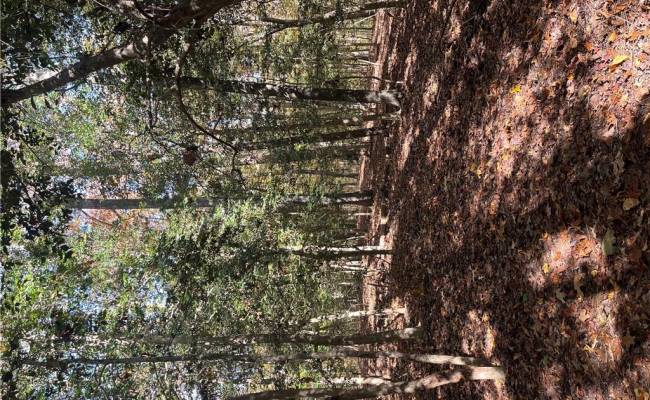 2425 Jolly Pond Road, James City County, VA 23188