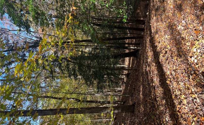 2425 Jolly Pond Road, James City County, VA 23188