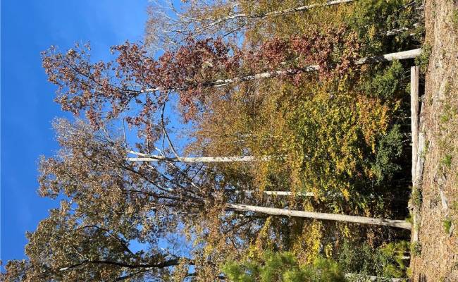 2425 Jolly Pond Road, James City County, VA 23188