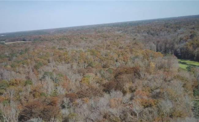 2425 Jolly Pond Road, James City County, VA 23188