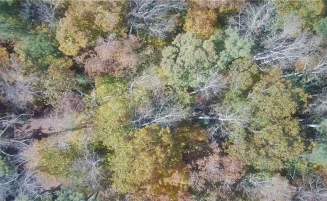 2425 Jolly Pond Road, James City County, VA 23188