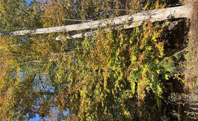 2425 Jolly Pond Road, James City County, VA 23188