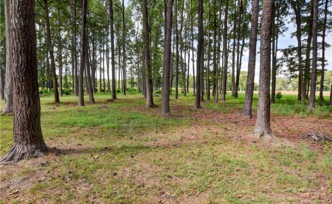 1.75ac Cobham Wharf Road, Surry County, VA 23883