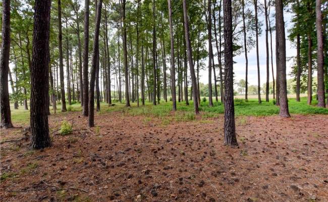 1.75ac Cobham Wharf Road, Surry County, VA 23883