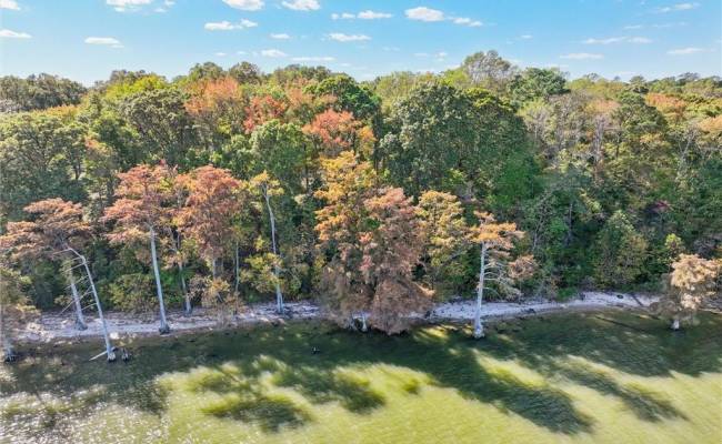 388 Cobham Bluff (LOT 8) Lane, Surry County, VA 23883