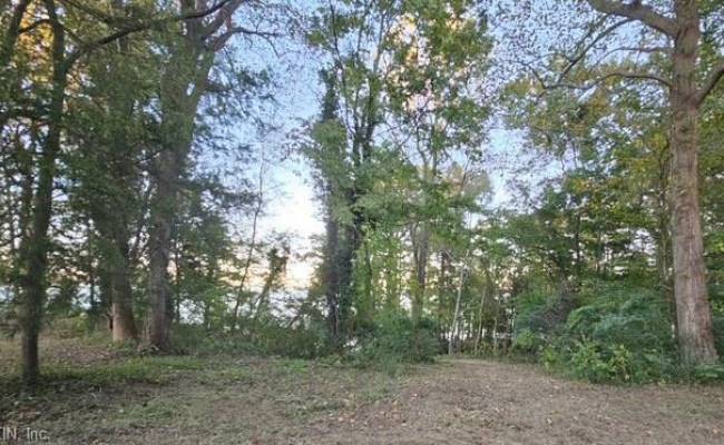 388 Cobham Bluff (LOT 8) Lane, Surry County, VA 23883