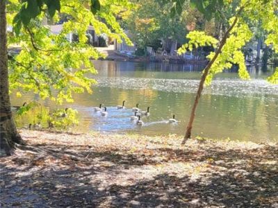 property image for 181 Kristen Lane SUFFOLK VA 23434