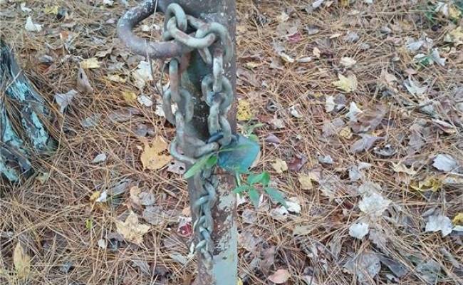 5.43A Old Forty Road, Sussex County, VA 23884