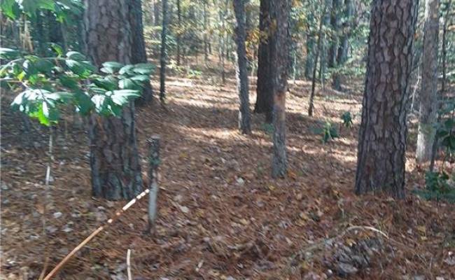 5.43A Old Forty Road, Sussex County, VA 23884