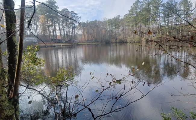 5.43A Old Forty Road, Sussex County, VA 23884