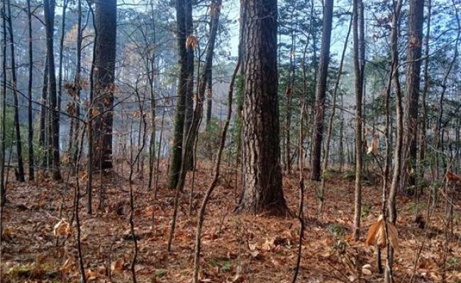 5.43A Old Forty Road, Sussex County, VA 23884