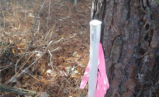 5.43A Old Forty Road, Sussex County, VA 23884