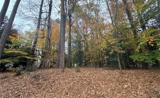 11 Frenchmens Key, Williamsburg, VA 23185