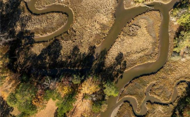 3.87ac Cunningham Lane, Gloucester County, VA 23061