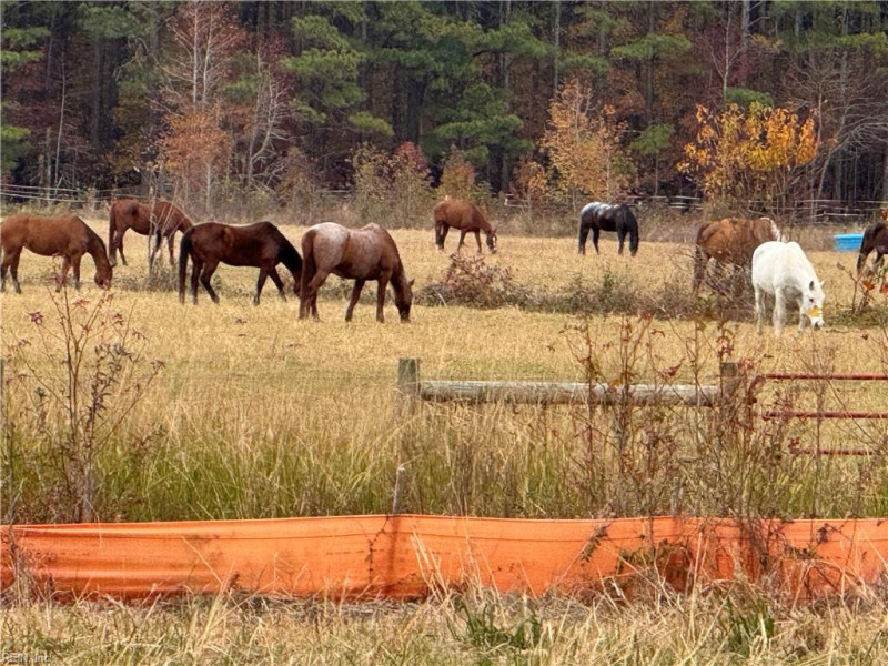 Photo 7 of 10 residential for sale in Chesapeake virginia