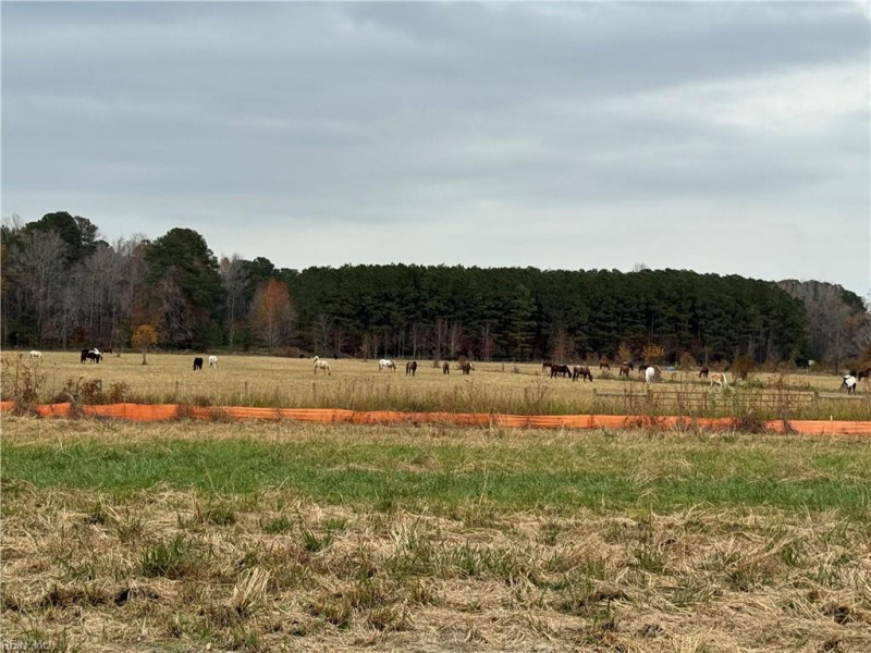 Photo 9 of 10 residential for sale in Chesapeake virginia