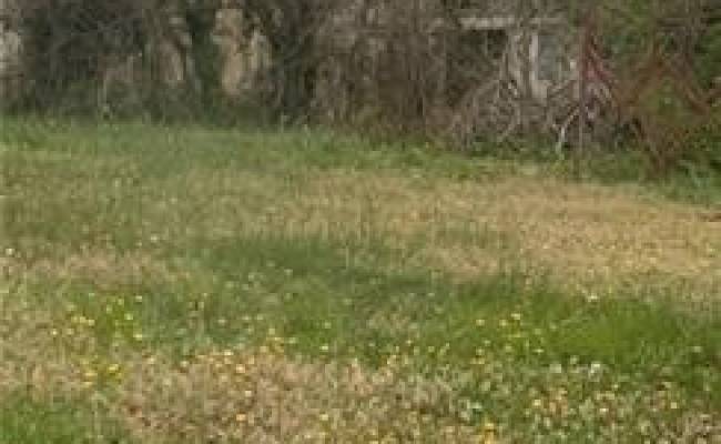 508 Doswell Street, Nottoway County, VA 23824