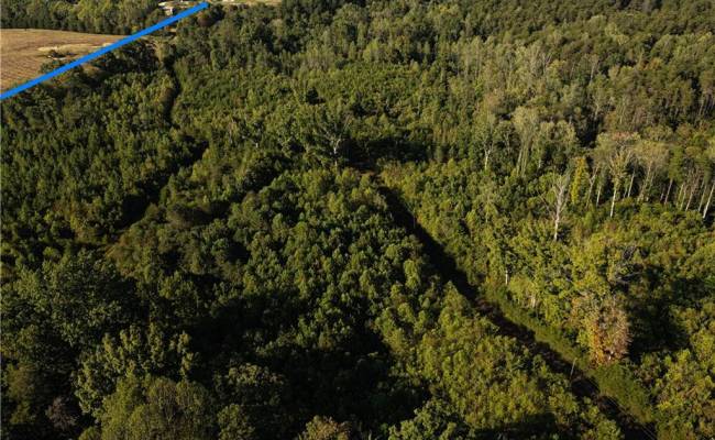 25 ac Chris Run, Louisa County, VA 23093