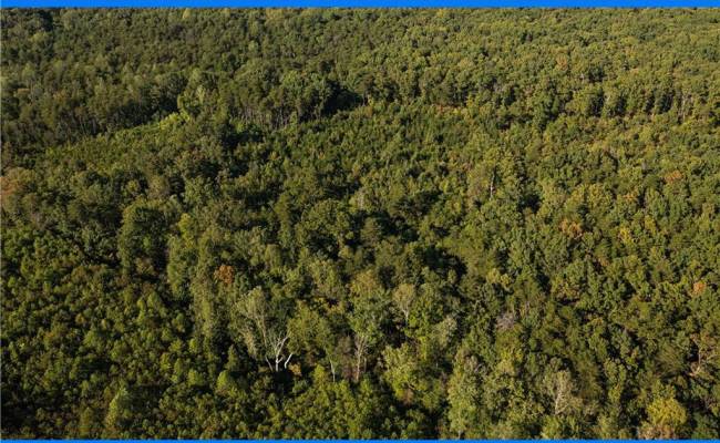 25 ac Chris Run, Louisa County, VA 23093