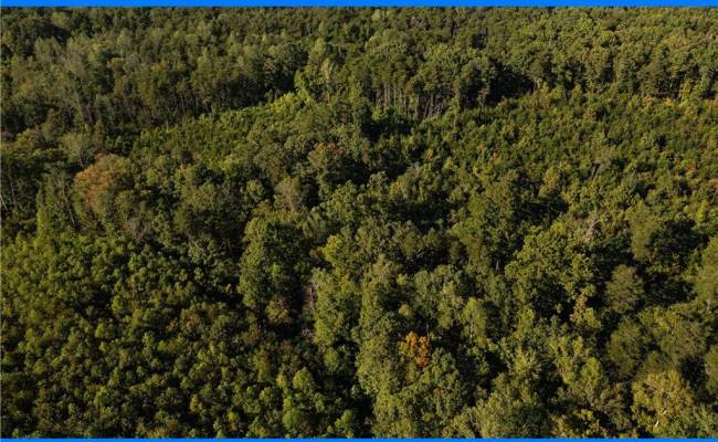 25 ac Chris Run, Louisa County, VA 23093