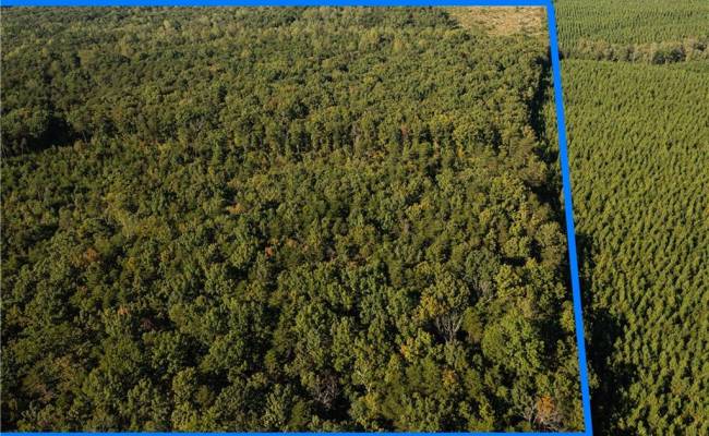 25 ac Chris Run, Louisa County, VA 23093