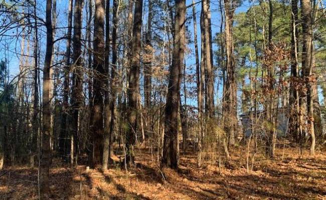 Lot 23 Chambliss Road, Emporia, VA 23847