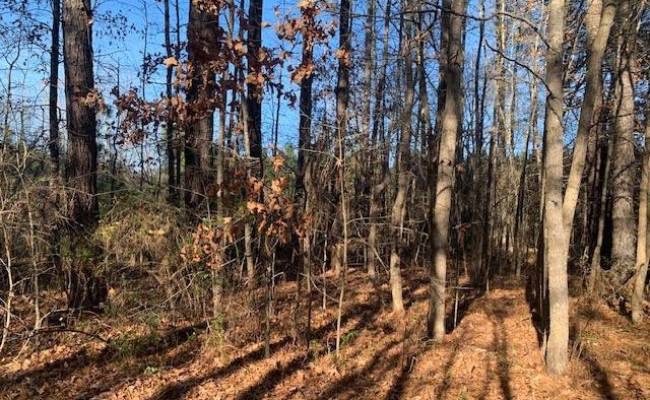 Lot 23 Chambliss Road, Emporia, VA 23847