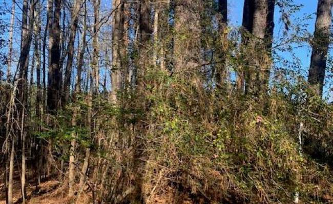 Lot 23 Chambliss Road, Emporia, VA 23847