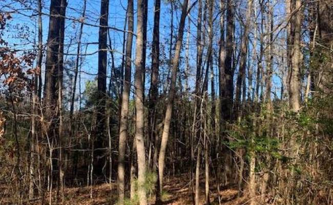Lot 23 Chambliss Road, Emporia, VA 23847