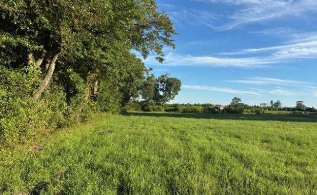 7496 Yellow Hammer Road, Isle of Wight County, VA 23898