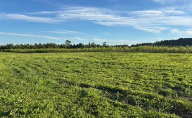 7496 Yellow Hammer Road, Isle of Wight County, VA 23898