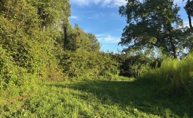 7496 Yellow Hammer Road, Isle of Wight County, VA 23898