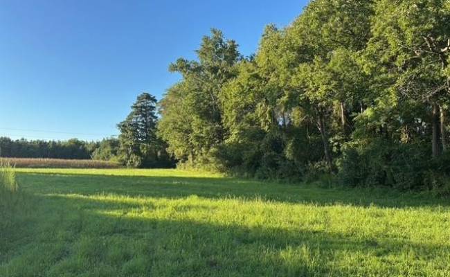 7496 Yellow Hammer Road, Isle of Wight County, VA 23898