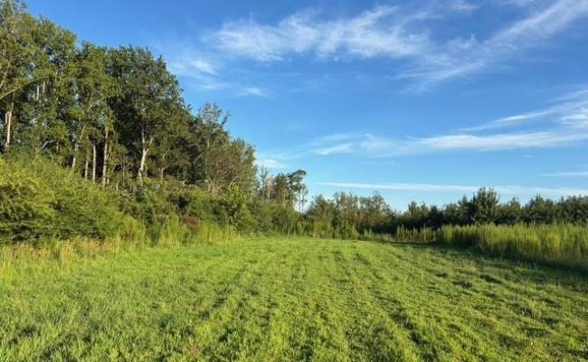 7496 Yellow Hammer Road, Isle of Wight County, VA 23898