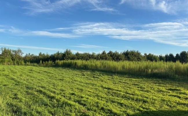 7496 Yellow Hammer Road, Isle of Wight County, VA 23898