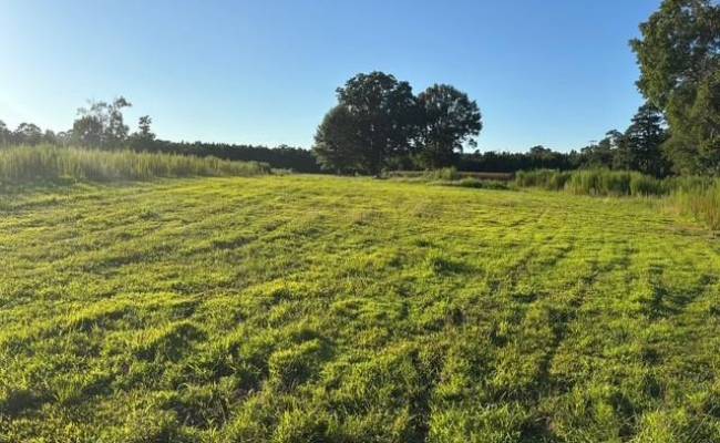 7496 Yellow Hammer Road, Isle of Wight County, VA 23898