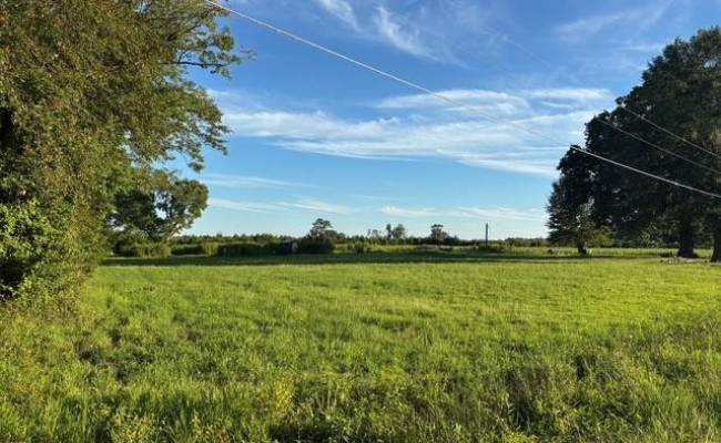 7496 Yellow Hammer Road, Isle of Wight County, VA 23898