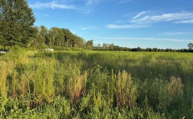 7496 Yellow Hammer Road, Isle of Wight County, VA 23898