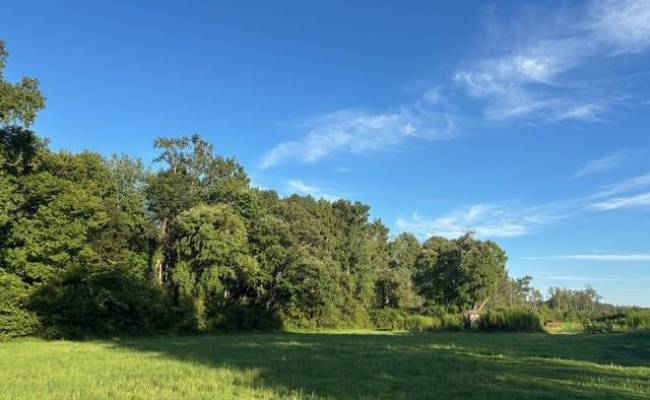 7496 Yellow Hammer Road, Isle of Wight County, VA 23898