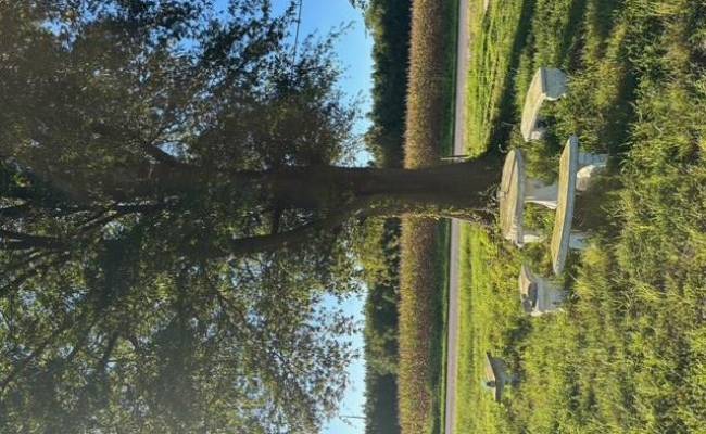 7496 Yellow Hammer Road, Isle of Wight County, VA 23898