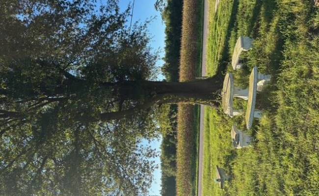 7496 Yellow Hammer Road, Isle of Wight County, VA 23898