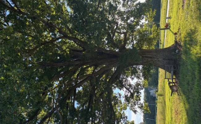 7496 Yellow Hammer Road, Isle of Wight County, VA 23898