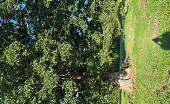 7496 Yellow Hammer Road, Isle of Wight County, VA 23898