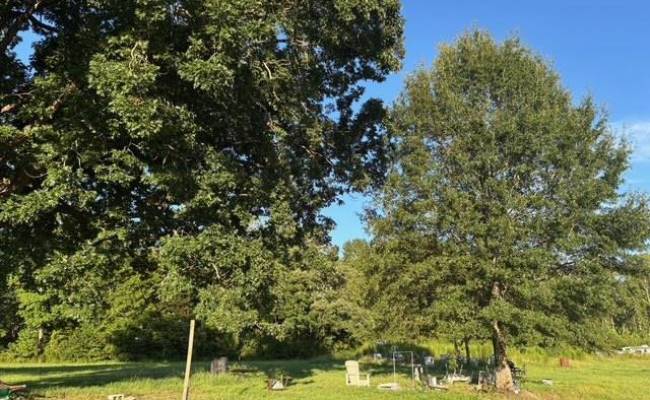 7496 Yellow Hammer Road, Isle of Wight County, VA 23898