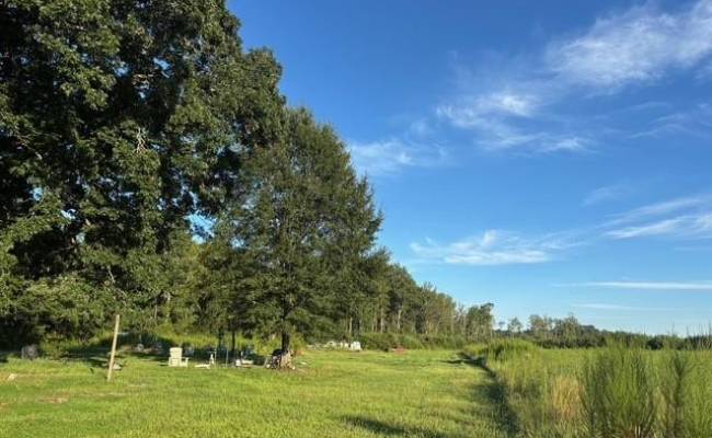 7496 Yellow Hammer Road, Isle of Wight County, VA 23898