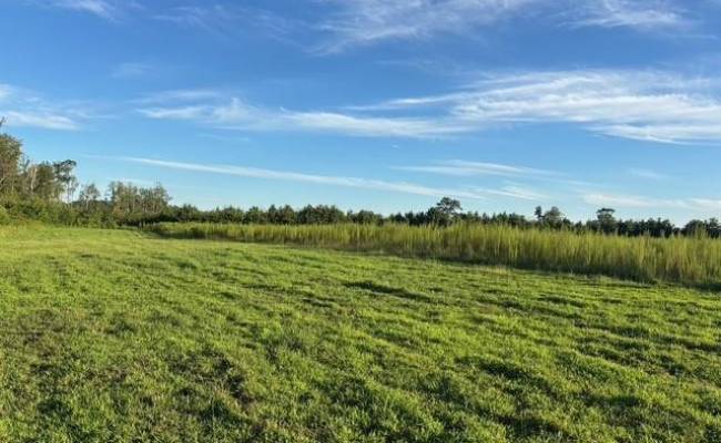 7496 Yellow Hammer Road, Isle of Wight County, VA 23898