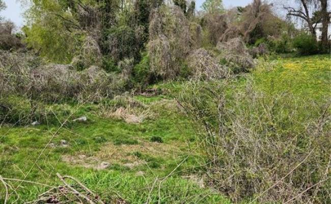 134 Mahan Street, Suffolk, VA 23434